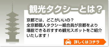 観光タクシーとは？